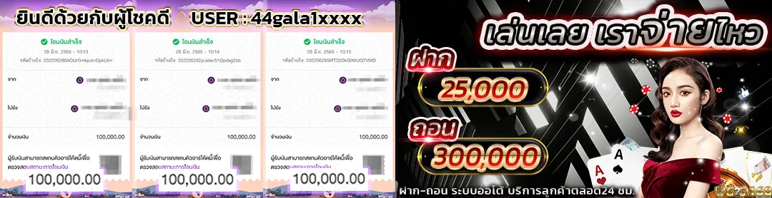 ปกบาคาร่า g2g639